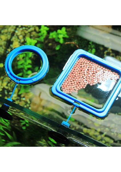 Kare Mavi Stil 1 Parça 1 Adet Akvaryum Balık Yem Istasyonu Yüzen Yiyecek Tepsisi Aksesuarları Su Bitkisi Batıklık Halka (Yurt Dışından) modelleri