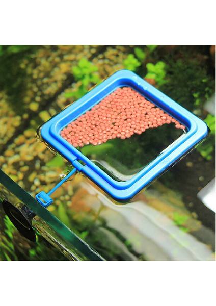 Yuvarlak Şekil Stili 8X8CM 1 Adet Akvaryum Yemleme Halkası Balık Tankı Istasyonu Yüzen Yem Tepsisi Kare Daire Aksesuarı Su Bitkisi Batma Emniyeti Emme Kupası (Yurt Dışından) fiyatları