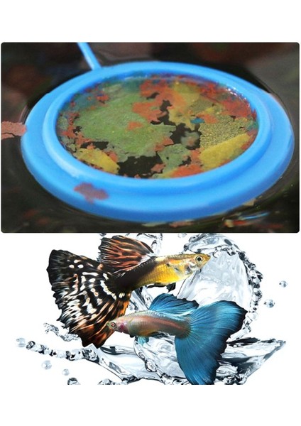 250 ml Süs Balığı Yemi Altın Balık Japon Balığı Guppy Küçük Orta Boy Tropikal Balık Pulları ve Akvaryum Aksesuarları (Yurt Dışından) fırsatları