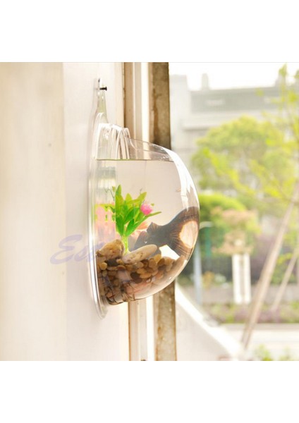 Tp Stili Tek Boyut Duvar Asılı Balon Kase Ev Balık Tankı Akvaryum Dekorasyonu Yeni (Yurt Dışından)