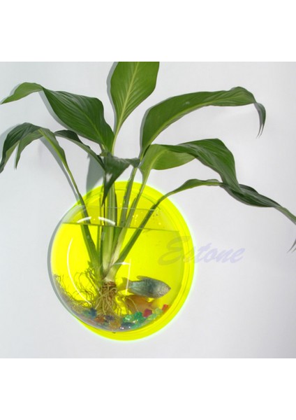 Tp Stili Tek Boyut Duvar Asılı Balon Kase Ev Balık Tankı Akvaryum Dekorasyonu Yeni (Yurt Dışından) fiyatları