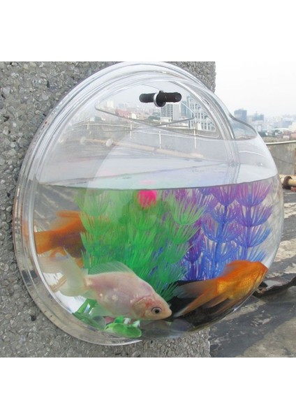 Tp Stili Tek Boyut Duvar Asılı Balon Kase Ev Balık Tankı Akvaryum Dekorasyonu Yeni (Yurt Dışından) modelleri