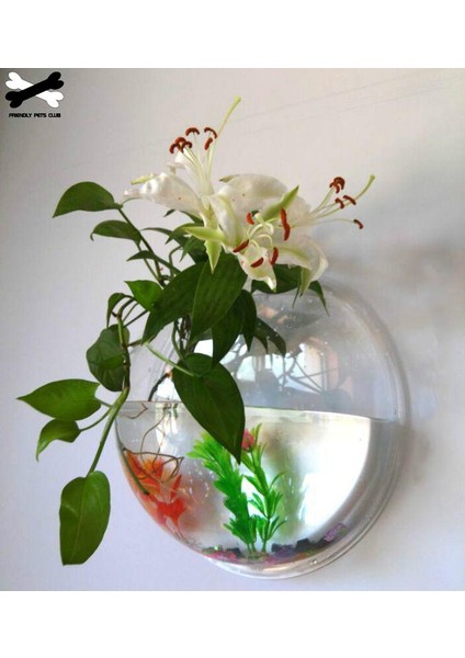 Ayna Stili 23CM Duvara Monte Edilebilir Balık Kasesi Dekorasyon Saksı Evcil Hayvan Malzemeleri Akrilik Akvaryum (Yurt Dışından) indirimleri