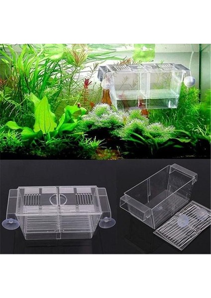 Şeffaf Stil Şeffaf Akvaryum Balık Tankı Çift Üreme Yavruluk Büyütme Kutusu Hatchery Fish & Aquatics Pet Supplies (Yurt Dışından)