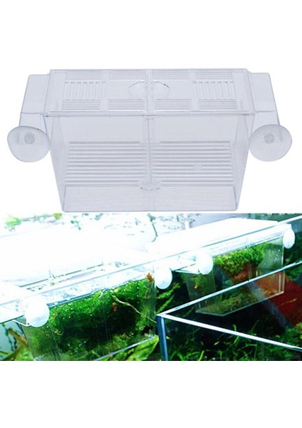 Şeffaf Stil Şeffaf Akvaryum Balık Tankı Çift Üreme Yavruluk Büyütme Kutusu Hatchery Fish & Aquatics Pet Supplies (Yurt Dışından) fiyatları