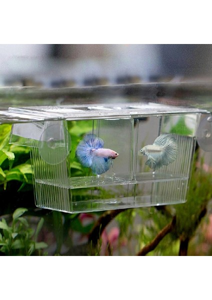 Şeffaf Stil Şeffaf Akvaryum Balık Tankı Çift Üreme Yavruluk Büyütme Kutusu Hatchery Fish & Aquatics Pet Supplies (Yurt Dışından) modelleri