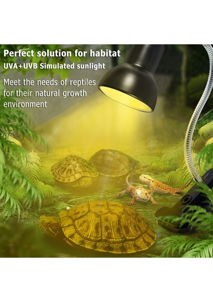 Kısılabilir Olmayan Ab Stili Bene Sürüngen Isıtma Isıtma Lambası, Su Kaplumbağaları Kaplumbağa Yılan Kertenkele Terraryum Amfibi Için Isıtıcı Ampul (Yurt Dışından) modelleri