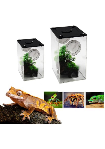 S180 125 95MM Stili Sürüngen Dikdörtgen Şeffaf Plastik Kutu Böcek Panoramik Böcek Yetiştirme Kutusu Yılan Örümcek Kertenkele Terraryum Akrilik Kutu Ev (Yurt Dışından) fiyatları