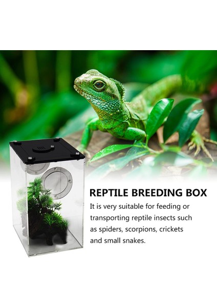 S180 125 95MM Stili Sürüngen Dikdörtgen Şeffaf Plastik Kutu Böcek Panoramik Böcek Yetiştirme Kutusu Yılan Örümcek Kertenkele Terraryum Akrilik Kutu Ev (Yurt Dışından) modelleri