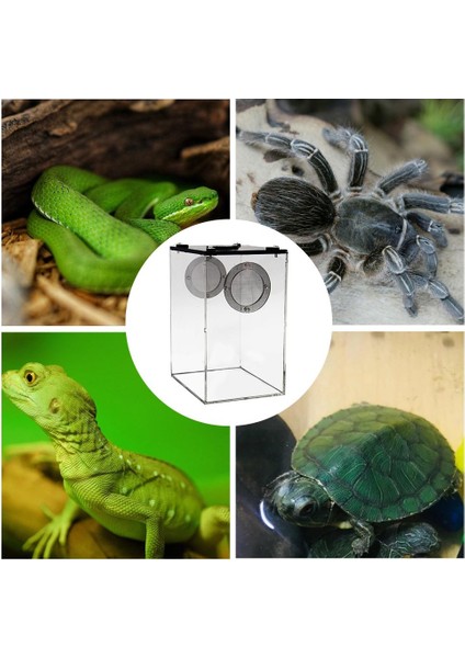 S180 125 95MM Stili Sürüngen Dikdörtgen Şeffaf Plastik Kutu Böcek Panoramik Böcek Yetiştirme Kutusu Yılan Örümcek Kertenkele Terraryum Akrilik Kutu Ev (Yurt Dışından) fırsatları