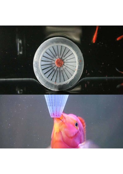 Beyaz Stil 1 Parça Akvaryum Kırmızı Solucan Için Mini Otomatik Yem Besleyici ve Emme Kupası ile Konik Balık Yem Hunisi - Balık Yemi Besleyici ve Kupası Da Dahil (Yurt Dışından) indirimleri