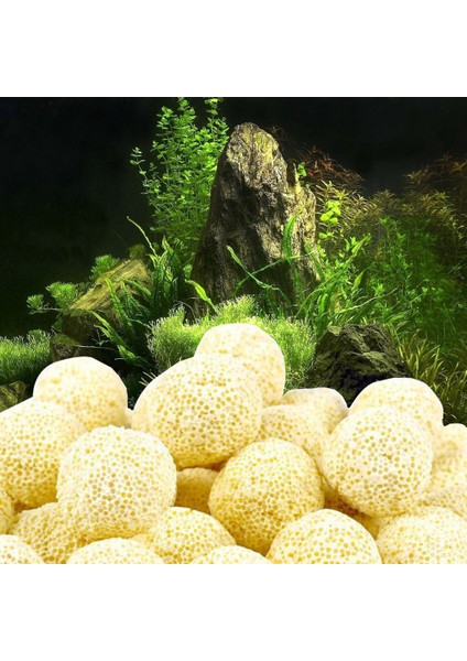 Bir Stil 40 Adet Bio Topu Akvaryum Sünger Seramik Filtre Medya Net Torba Biyolojik Top Balık Tankı Akvaryum Malzemeleri Filtre Topu Temizlik #T1P (Yurt Dışından) fiyatları