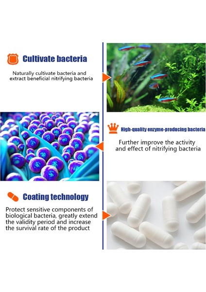 100 Adet Tarzı Şişe Akvaryum Konsantre Kapsül Balık Tankı Gölet Temizleme Taze Su (Yurt Dışından) fırsatları