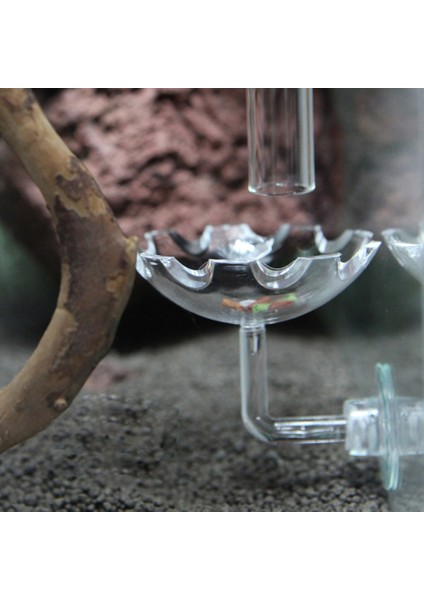 Akvaryum Balık Tankı Için Karides Balık Yemliği Şeffaf Konteyner (Yurt Dışından)