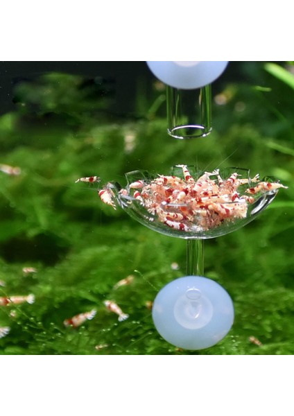 Akvaryum Balık Tankı Için Karides Balık Yemliği Şeffaf Konteyner (Yurt Dışından) fiyatları