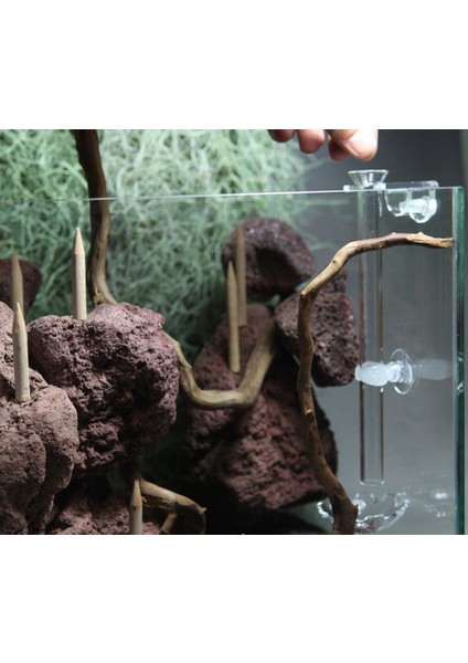 Akvaryum Balık Tankı Için Karides Balık Yemliği Şeffaf Konteyner (Yurt Dışından) modelleri