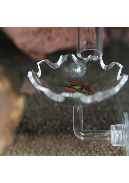 Akvaryum Balık Tankı Için Karides Balık Yemliği Şeffaf Konteyner (Yurt Dışından) fırsatları