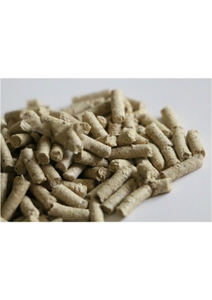 40G Tarzı 1 Parça 40G Karides Tankı Akvaryum Natto Yem Tam Rafine Bacillus Subtilis Salyangoz Frimp Ding Yavru Yengeç Yengeç Yem - E-Ticaret Ürün Başlığı (Yurt Dışından) fırsatları