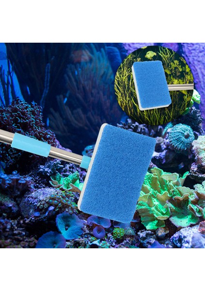 3 Yedek Fırça Stili Çift Taraflı Sünger Temizlik Fırçası Akvaryum Balık Tankı Cam Pencere Yosunu 180° Ayarlanabilir Süper Uzun Sap Temizleyici Süpürge (Yurt Dışından) modelleri