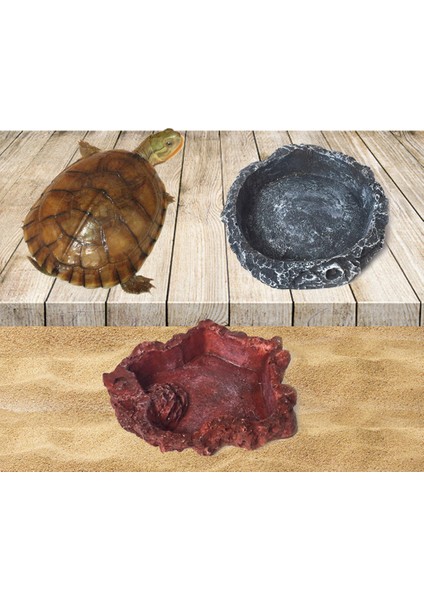 B Tarzı Kertenkele Kaplumbağa Yemlik Sürüngen Su Kabı Reçine Yiyecek ve Su Kabı Petler Malzemeleri (Yurt Dışından) fırsatları