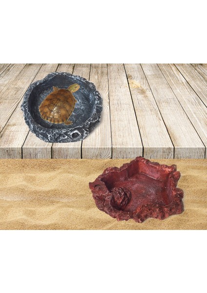 B Tarzı Kertenkele Kaplumbağa Yemlik Sürüngen Su Kabı Reçine Yiyecek ve Su Kabı Petler Malzemeleri (Yurt Dışından) indirimleri