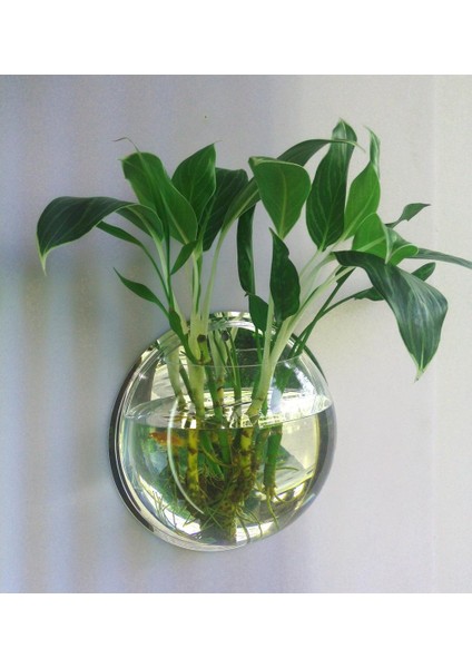 Ayna Stili 29,5 cm Duvara Monte Edilebilir Balık Kasesi Dekorasyon Saksı Evcil Hayvan Malzemeleri Akrilik Akvaryum (Yurt Dışından)