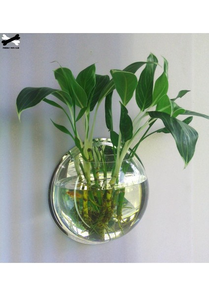 Ayna Stili 29,5 cm Duvara Monte Edilebilir Balık Kasesi Dekorasyon Saksı Evcil Hayvan Malzemeleri Akrilik Akvaryum (Yurt Dışından) fiyatları