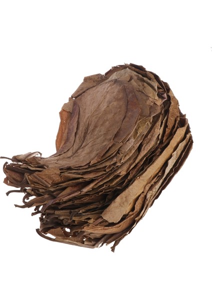 Gösteri Stili Olarak L Beden Doğal Catappa Yaprakları Badem Yaprağı Balık Temizleme Tedavisi Akvaryum Tankı JAN11 (Yurt Dışından) fiyatları