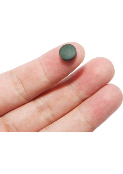 100G Spirulina Sebzeli Alg Tabletleri Yavru Balığı Tropikal Toplu Balık Yemi (Yurt Dışından) fırsatları