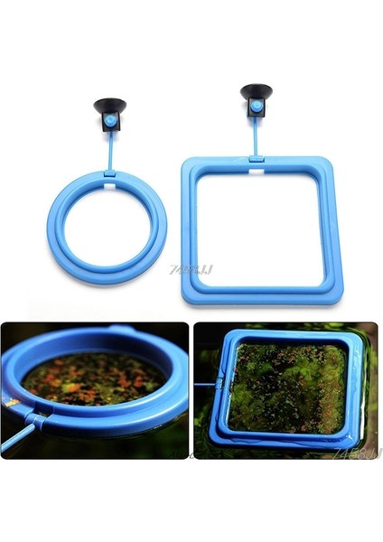 Mavi Kare Stili Akvaryum Zil Halka Balık Tankı Istasyonu Yüzen Yem Tepsisi Kare Daire Aksesuar Su Bitkisi Batma Emme Kupası (Yurt Dışından) indirimleri