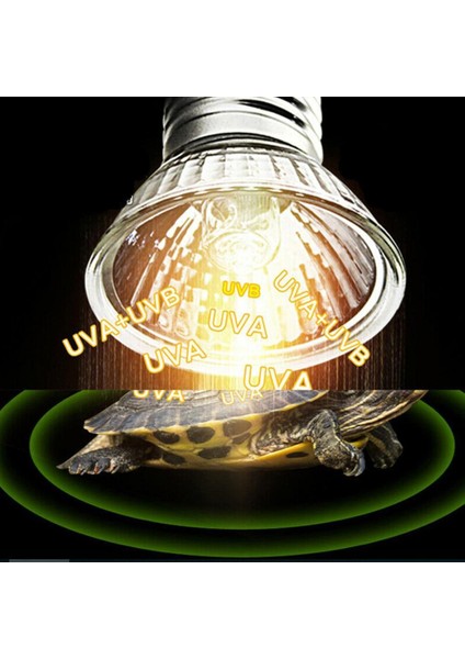 25W Tarzı Kaplumbağa Isıtma Uv Işık Ampul Sıcaklık Kontrol Cihazı ile Kertenkeleler Için Uva Uvb 3.0 Sürüngen Lambası Ampulü (Yurt Dışından)