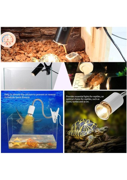 25W Tarzı Kaplumbağa Isıtma Uv Işık Ampul Sıcaklık Kontrol Cihazı ile Kertenkeleler Için Uva Uvb 3.0 Sürüngen Lambası Ampulü (Yurt Dışından)