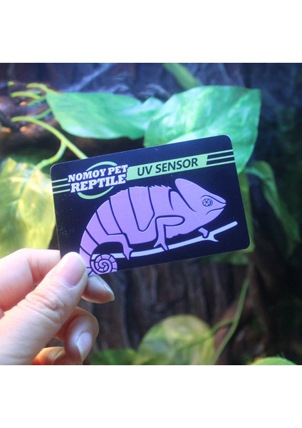 Sürüngen Uvb Işık Lamba Test Kartı Uv Test Kağıdı Sürüngenler Terraryum Lamba Ömrü Etkin Tester Metre Pet Malzemeleri (Yurt Dışından) fiyatları