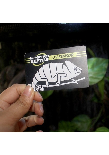 Sürüngen Uvb Işık Lamba Test Kartı Uv Test Kağıdı Sürüngenler Terraryum Lamba Ömrü Etkin Tester Metre Pet Malzemeleri (Yurt Dışından) modelleri