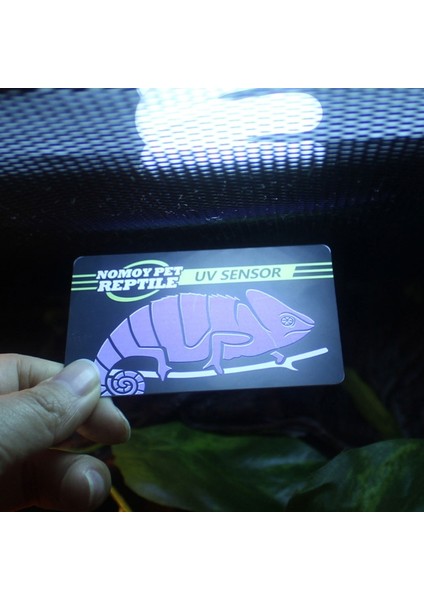 Sürüngen Uvb Işık Lamba Test Kartı Uv Test Kağıdı Sürüngenler Terraryum Lamba Ömrü Etkin Tester Metre Pet Malzemeleri (Yurt Dışından) fırsatları