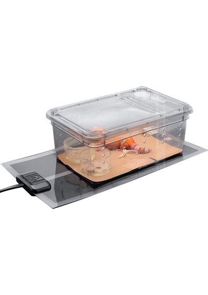 Siyah Stil Sürüngen Isı Matı Inkübatör Evcil Isıtma Ped Reptil Vivaryum Teraryum Isıtıcı Termostat Kontrolcüsü ile Ev Hayvanı Isıtma Pedi Avrupa Fişi (Yurt Dışından) fırsatları