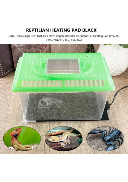 Siyah Stil Sürüngen Isı Matı Inkübatör Evcil Isıtma Ped Reptil Vivaryum Teraryum Isıtıcı Termostat Kontrolcüsü ile Ev Hayvanı Isıtma Pedi Avrupa Fişi (Yurt Dışından) indirimleri