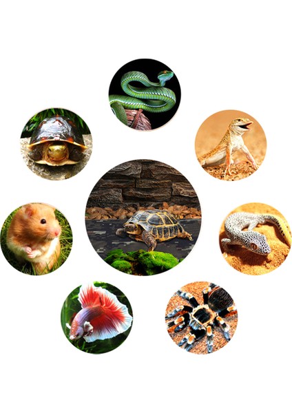 S Tarzı Sürüngen Isıtma Ped USB Isıtma Matı Karbon Fiber Evcil Hayvan Isıtma Ped Karbon Fiber El Isıtıcısı Isıtma Elektrikli Ateş Evcil Matısı (Yurt Dışından) fırsatları