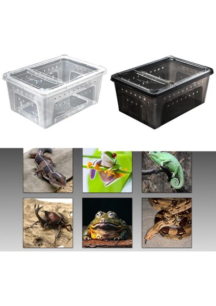 Siyah L Tarzı Kaplama Kutu Havalandırma Delikleri Kolay Temizlik Katı Renk Kaplama Kuluçka Kabı Sürüngen Kaplama Kutu Pet Malzemeleri (Yurt Dışından) fırsatları