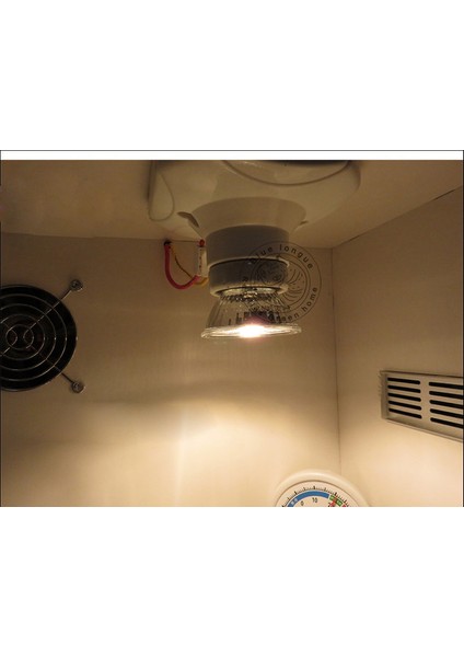 25W X4 220V Stili 4'lü Sürüngen Vivaryum Güneş Isı Tungsten Halojen Uvb + Uva Fırın Lamba Ampulü 110V 220V - Geniş Spektrum Işık Yayar (Yurt Dışından) indirimleri