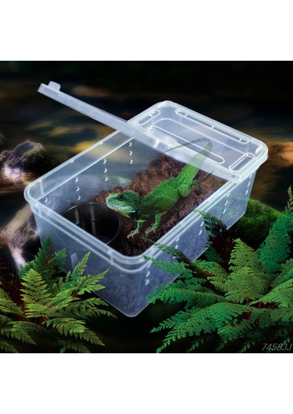Sürüngenler Için Terrarium Şeffaf Plastik Kutu Böcek Sürüngen Taşıma Üreme Canlı Yem Besleme Kutusu Dropship (Yurt Dışından) fiyatları