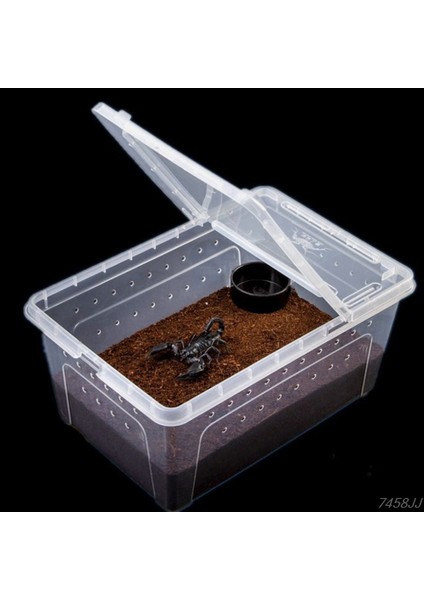 Sürüngenler Için Terrarium Şeffaf Plastik Kutu Böcek Sürüngen Taşıma Üreme Canlı Yem Besleme Kutusu Dropship (Yurt Dışından) modelleri
