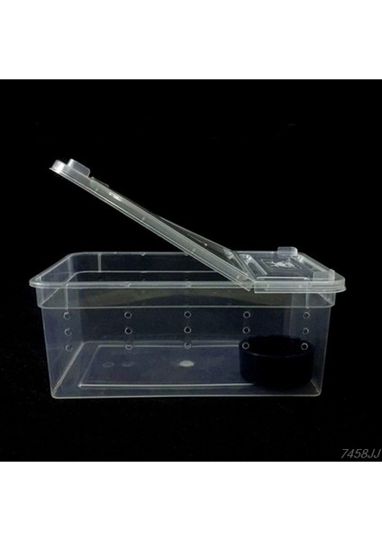 Sürüngenler Için Terrarium Şeffaf Plastik Kutu Böcek Sürüngen Taşıma Üreme Canlı Yem Besleme Kutusu Dropship (Yurt Dışından) fırsatları