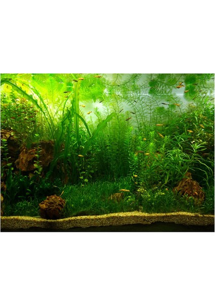 No.8 Stili 61X30CM 3D Etkili Taze Deniz Arka Planı Akvaryum Okyanus Manzara Poster Akvaryum Arka Planı Poster Dekorasyon Duvar Peyzaj Arka Planı (Yurt Dışından)