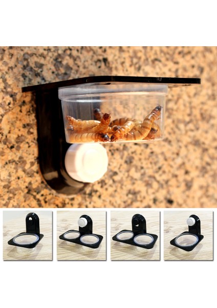 Çift Kutu-Vida Tarzı Sürüngen Abs Sürüngen Tankı Yiyecek Su Kase Sabit Dayanıklı Terrarium Saksı Üreme Kutusu Tutucu Kap Ağırlığı (Yurt Dışından)