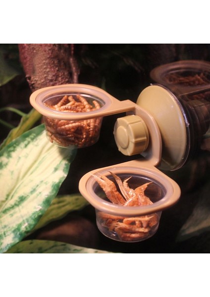 Çift Kutu Stili Vantuzlu Sürüngen Su ve Yem Kabı Duvar Askısı Örümcek Kutusu 95AA (Yurt Dışından) fiyatları