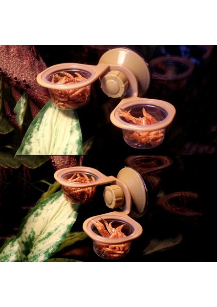 Çift Kutu Stili Vantuzlu Sürüngen Su ve Yem Kabı Duvar Askısı Örümcek Kutusu 95AA (Yurt Dışından) indirimleri