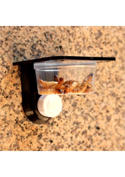 Tek Kutu Emme Stili Sürüngen Tankı Böcek Örümcek Karınca Yuvası Yiyecek Su Kabı Terraryum Üretim Kutusu Evcil Hayvan Ev Bahçe Çiftlik Malzemeleri (Yurt Dışından) modelleri