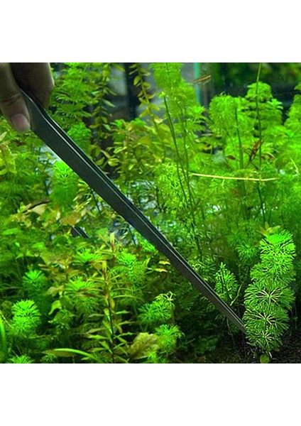 Düz Stil 27CM Akvaryum Cımbız Bitki Paslanmaz Çelik Tank Cımbızı Balık Tankı Suda Yaşayan Doğru Dirsek Kuvvetpençesi Kelepçe Balık ve Suda Yaşayan Evcil Hayvan Malzemeleri (Yurt Dışından)