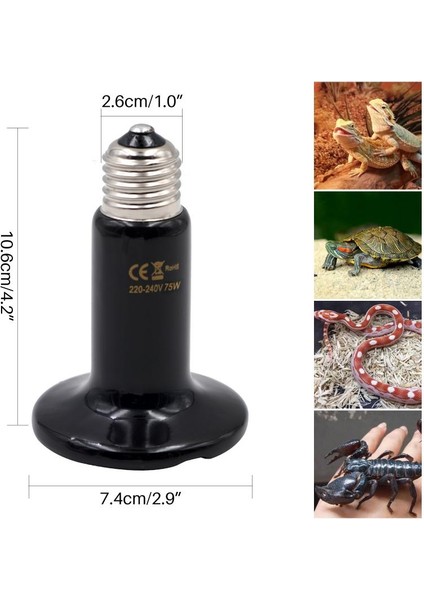 Bej 100W Tarzı Kertenkele Isıtma Lambası Seramik Kertenkele Isıtma Lambası 220V Uzak Kızılötesi Işık Ampulü Kertenkele Lambası 25W 50W 75W 100W 150W 200W Lamba (Yurt Dışından)